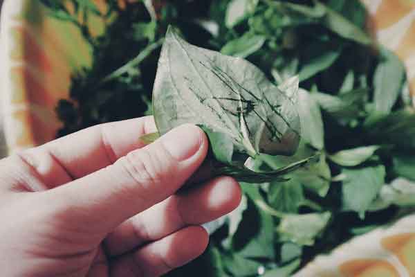 天水中医师承培训价格多少钱