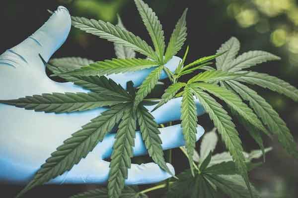 武威中医师承培训价格多少钱