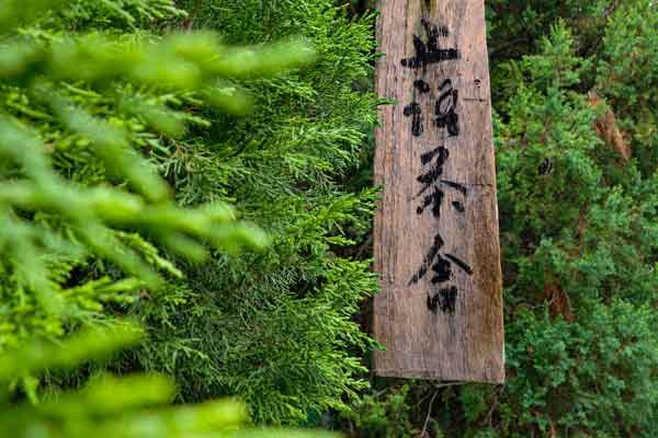 陇南中医师承培训价格多少钱