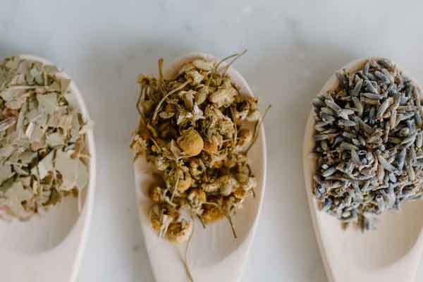 海口中医师承培训价格多少钱