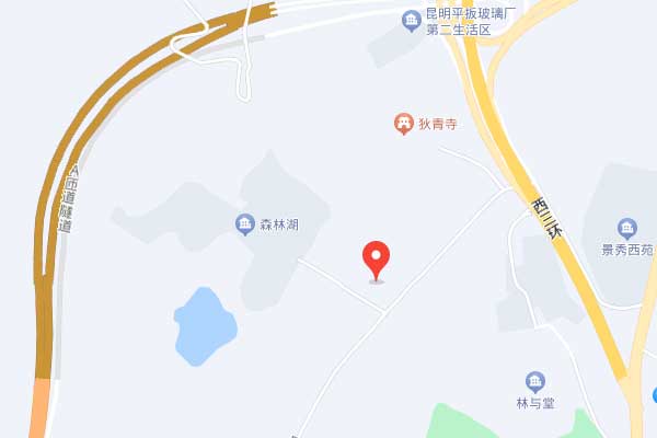 云南新东方教育学校地址