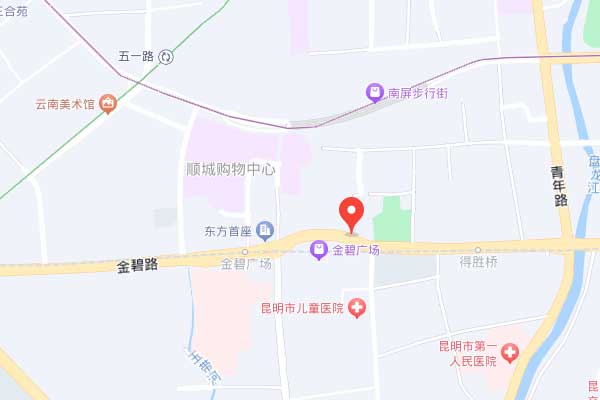 云南新东方教育学校地址