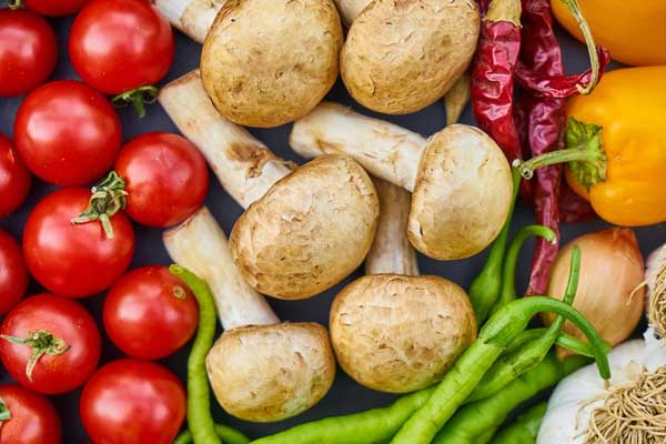 广西公共营养师报考条件