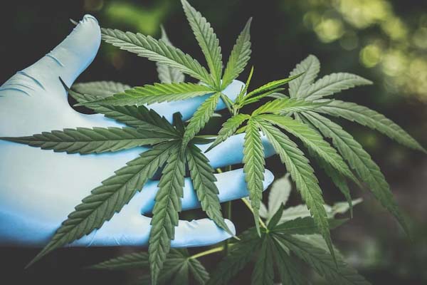 中医师承培训机构有哪些?费用多少钱?