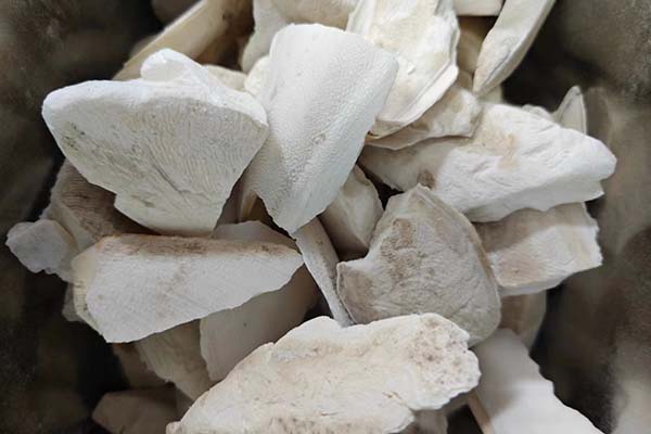 学习中医师承怎么报名