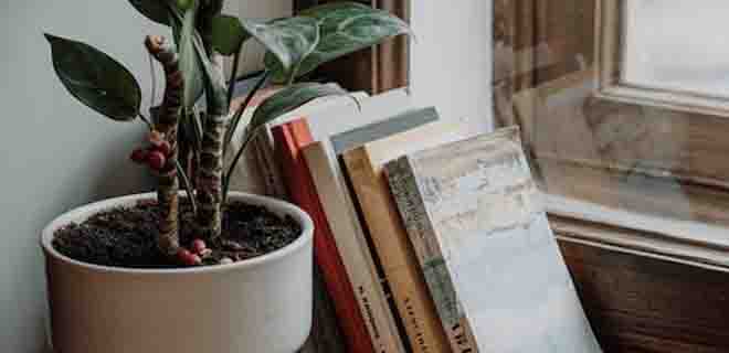 2024年出国留学报名时间