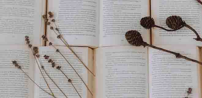 冠桥留学培训中心好不好