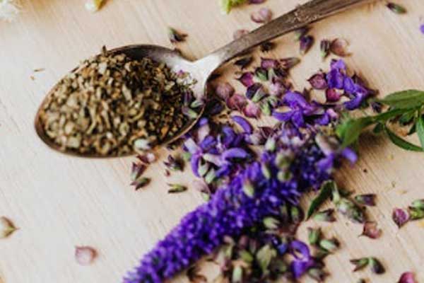 德州中医师承怎么报名