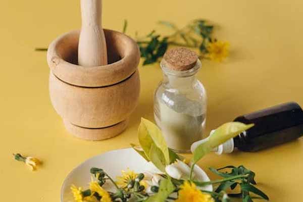 西安中医师承怎么报名