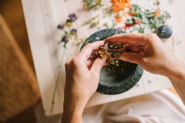 陕西中医师承怎么报名