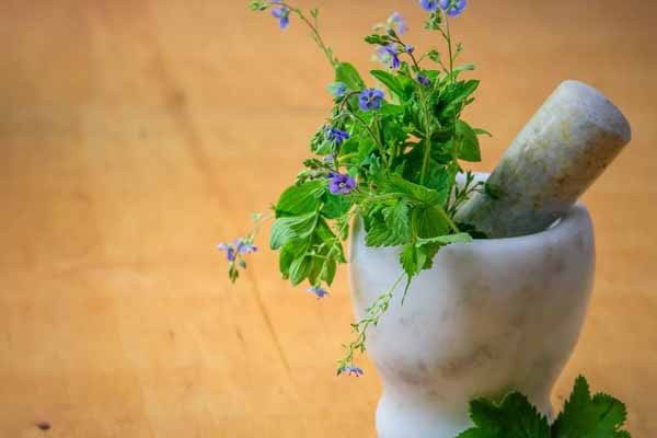 广西中医师承怎么报名